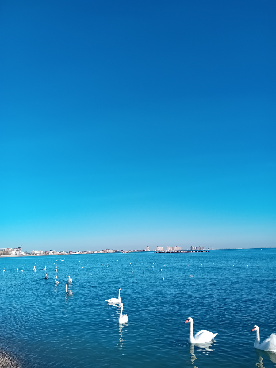 Авторское фото.