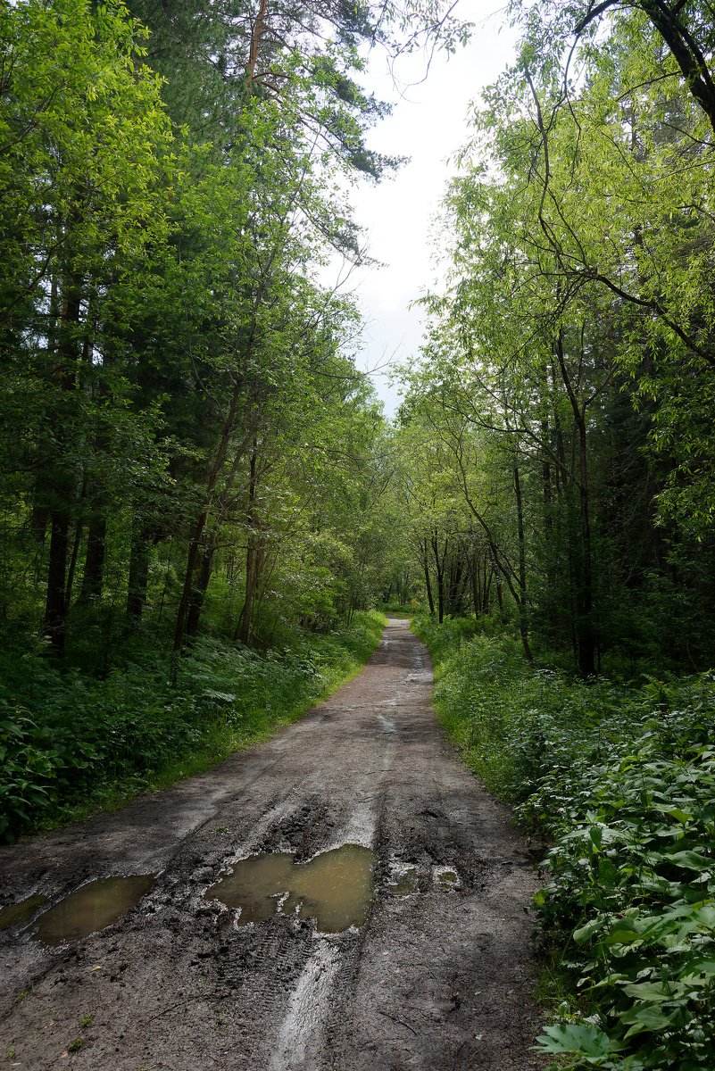 Длинный путь начинается с первого шага!