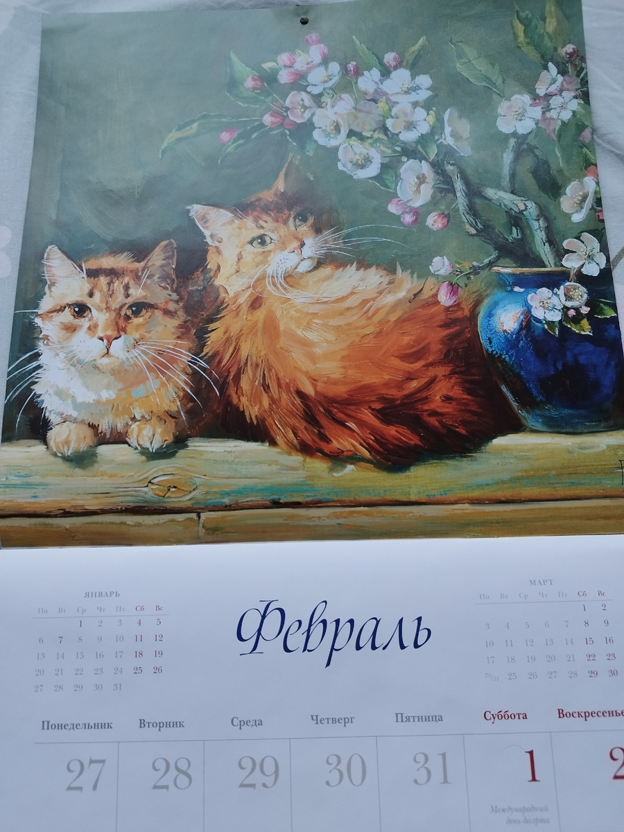 Котики следят за нами. Фото из личного архива автора