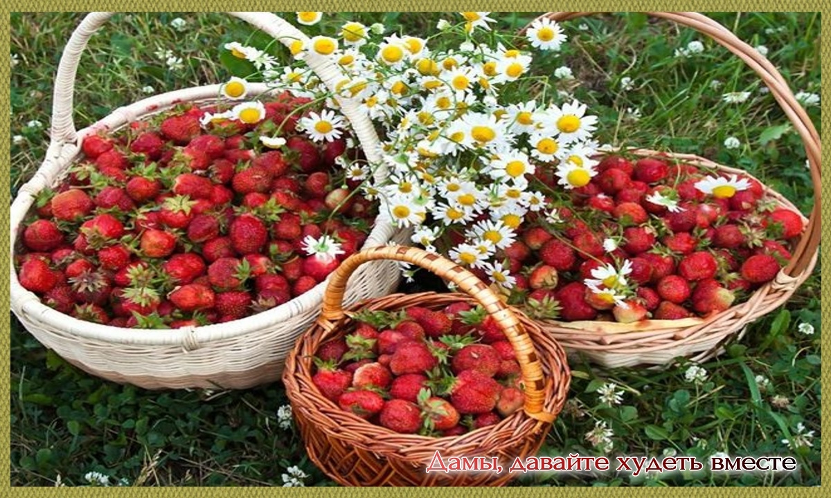 Клубника, земляника - активные борцы с мочевой кислотой