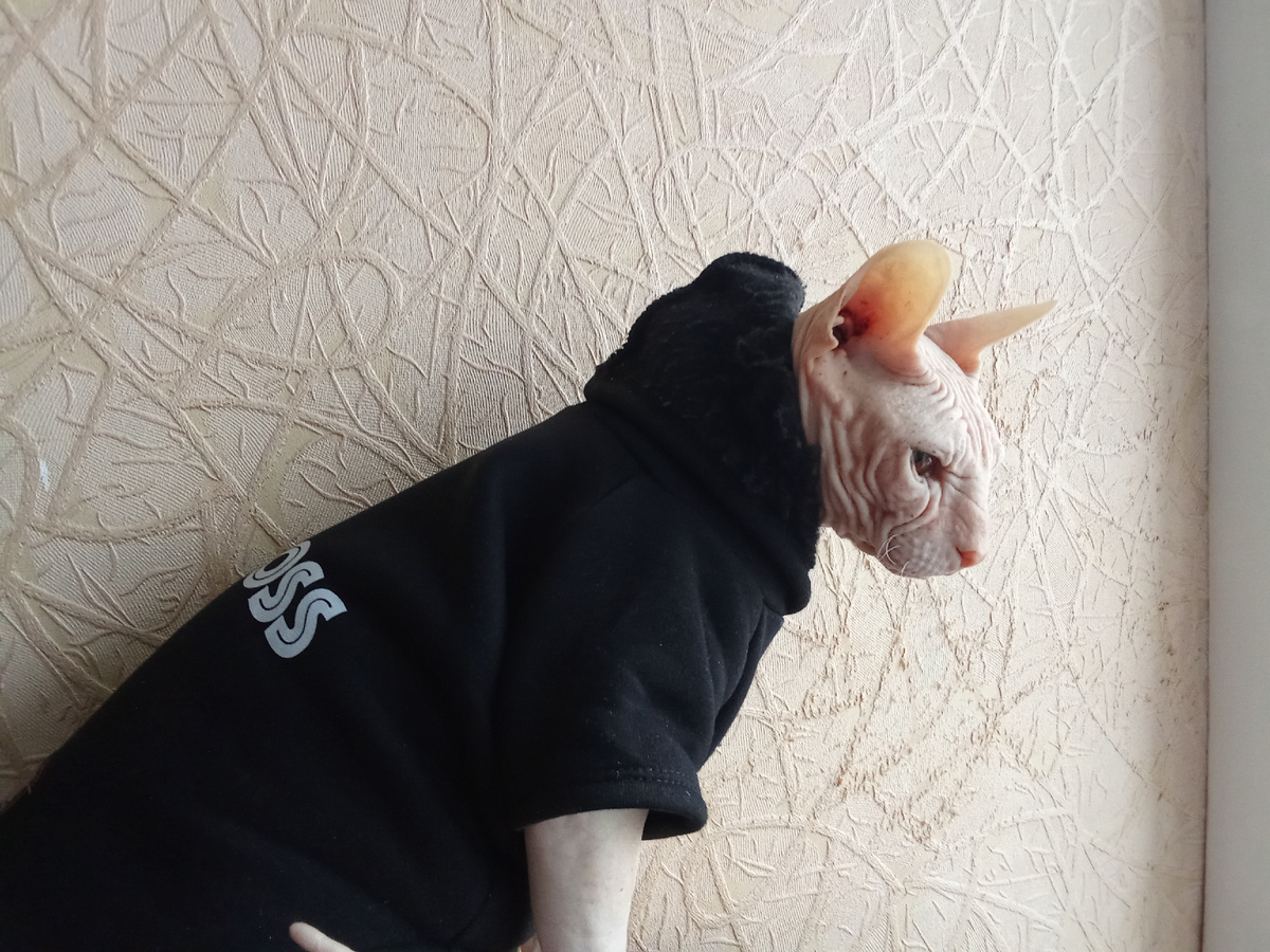 Где мое былое счастье?