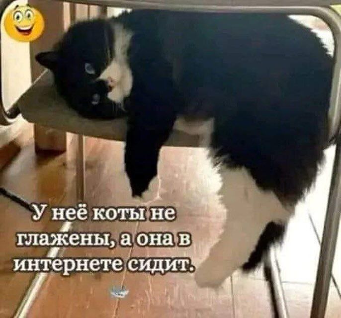 Из свободных источников сети Интернет