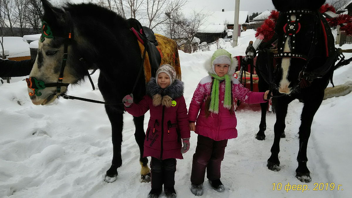 Вот они, настоящие лошадки! Фото автора.
