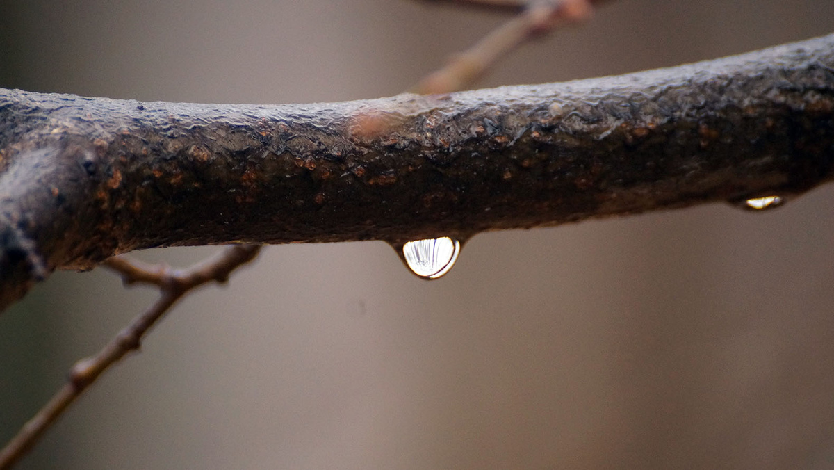    Фото: Сергей Егоров