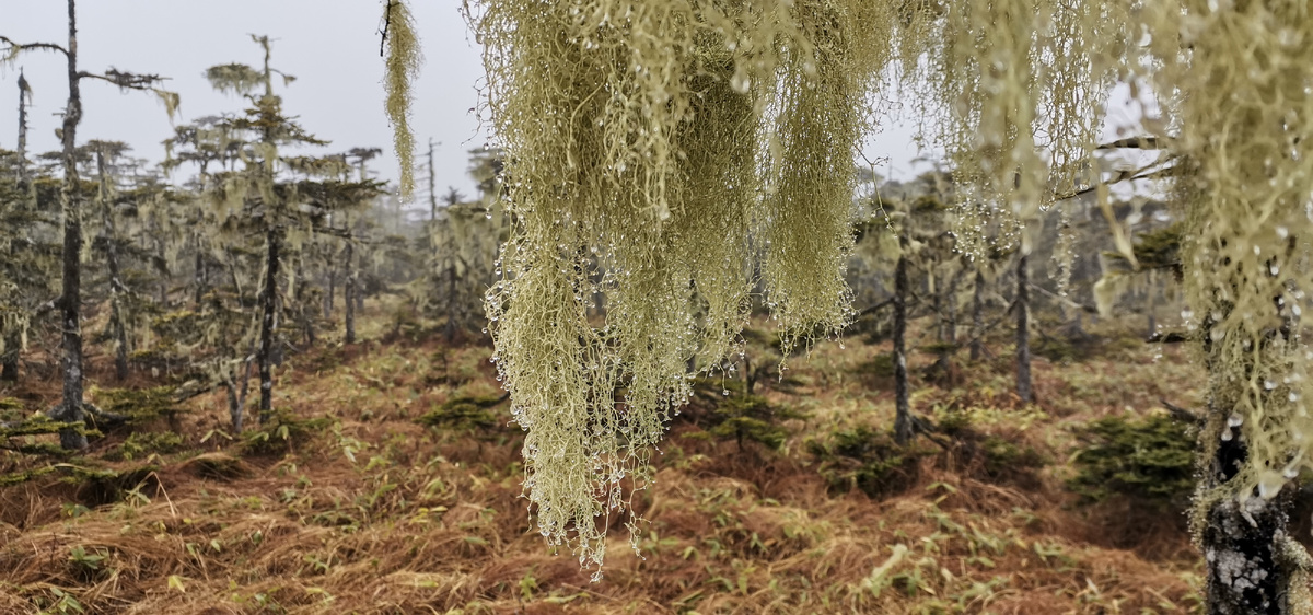 Все фото сделаны автором статьи. 