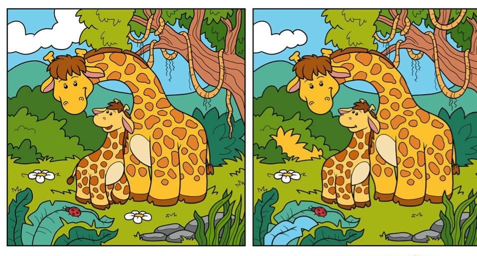 Найди отличия на картинке