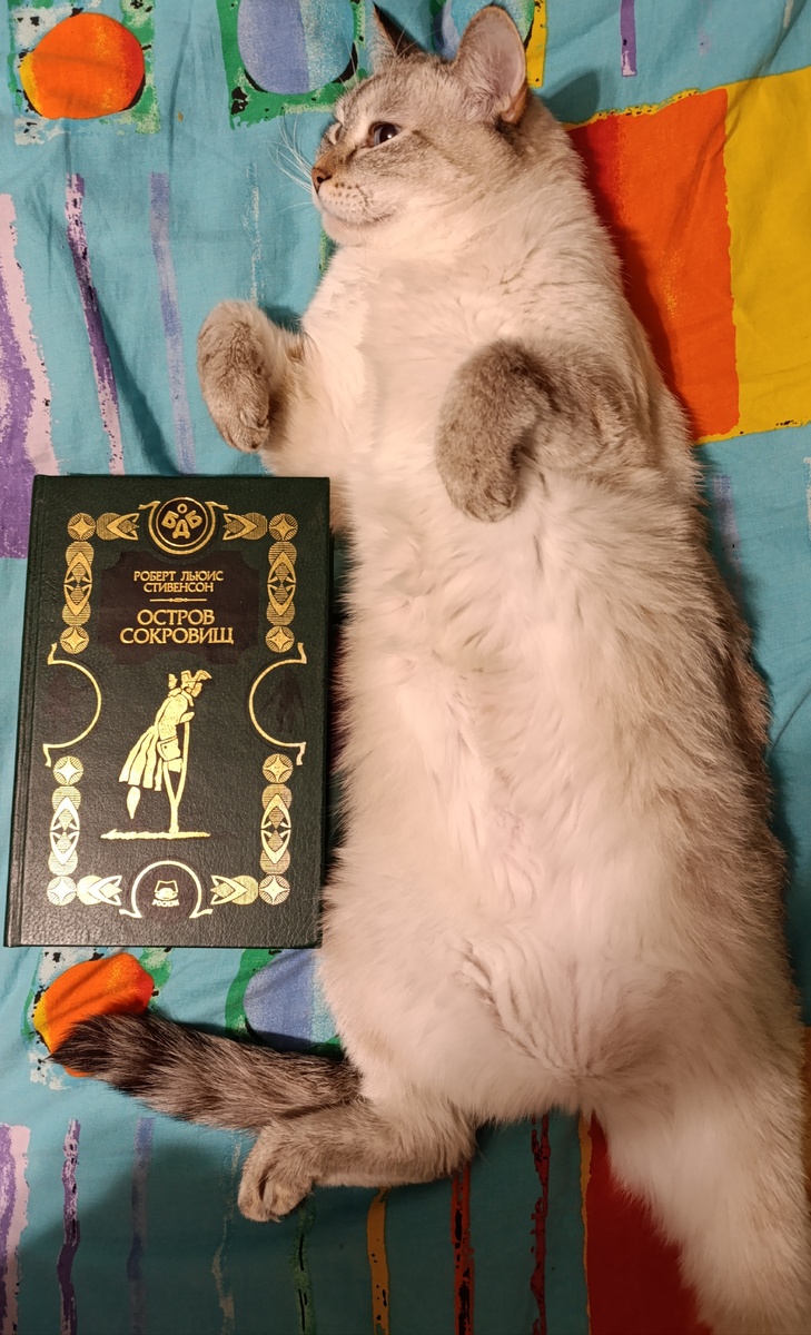 Сегодня читаемую книгу представляет вальяжная Дженька.