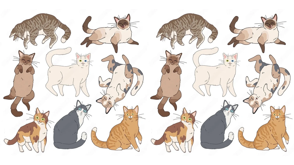 Найди отличия на картинке