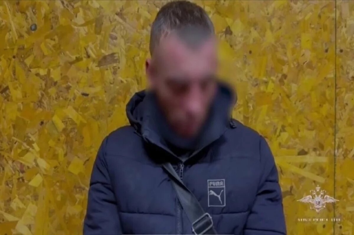    Напавшего на женщину на Аллилуева во Владивостоке арестовали на 2 месяца