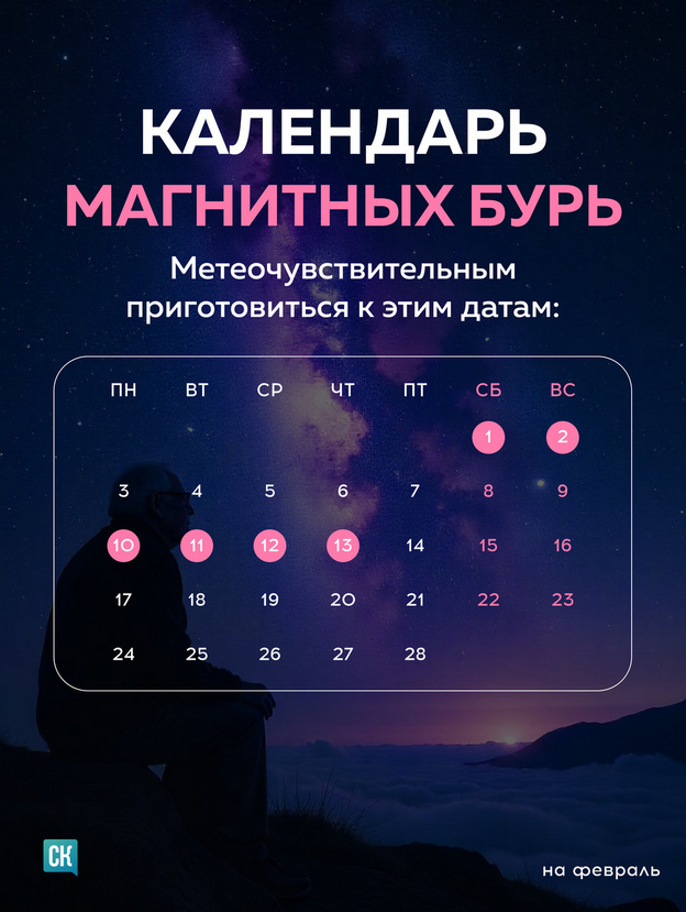 Магнитные бури в феврале 2025г