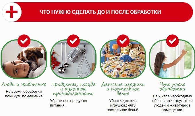 Как подготовить квартиру к обработке от клопов: пошаговая инструкция