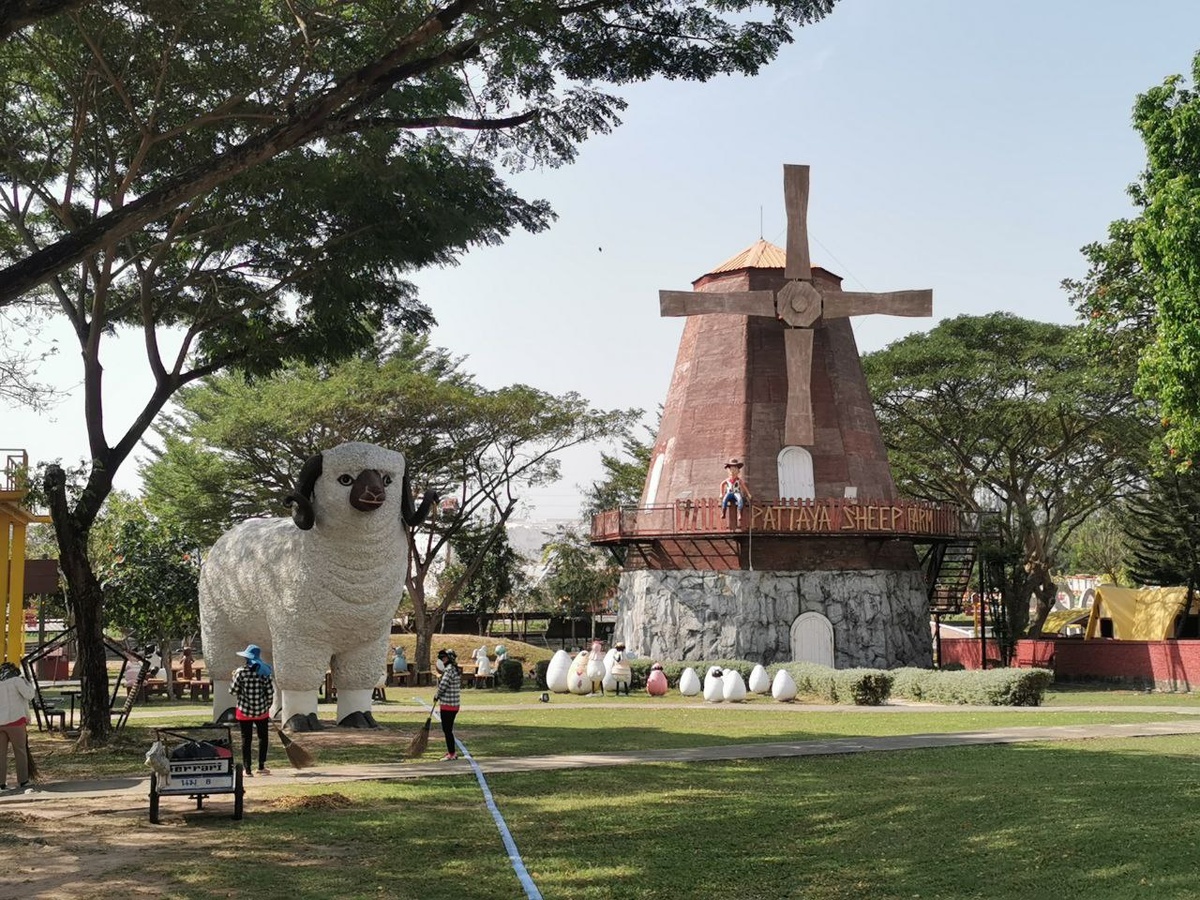 Pattaya sheep farm