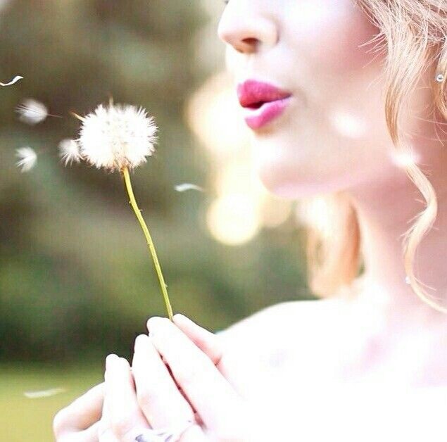 Не обращали внимание, что когда мы сдуваем одуванчик, это очень похоже на поцелуй?)
