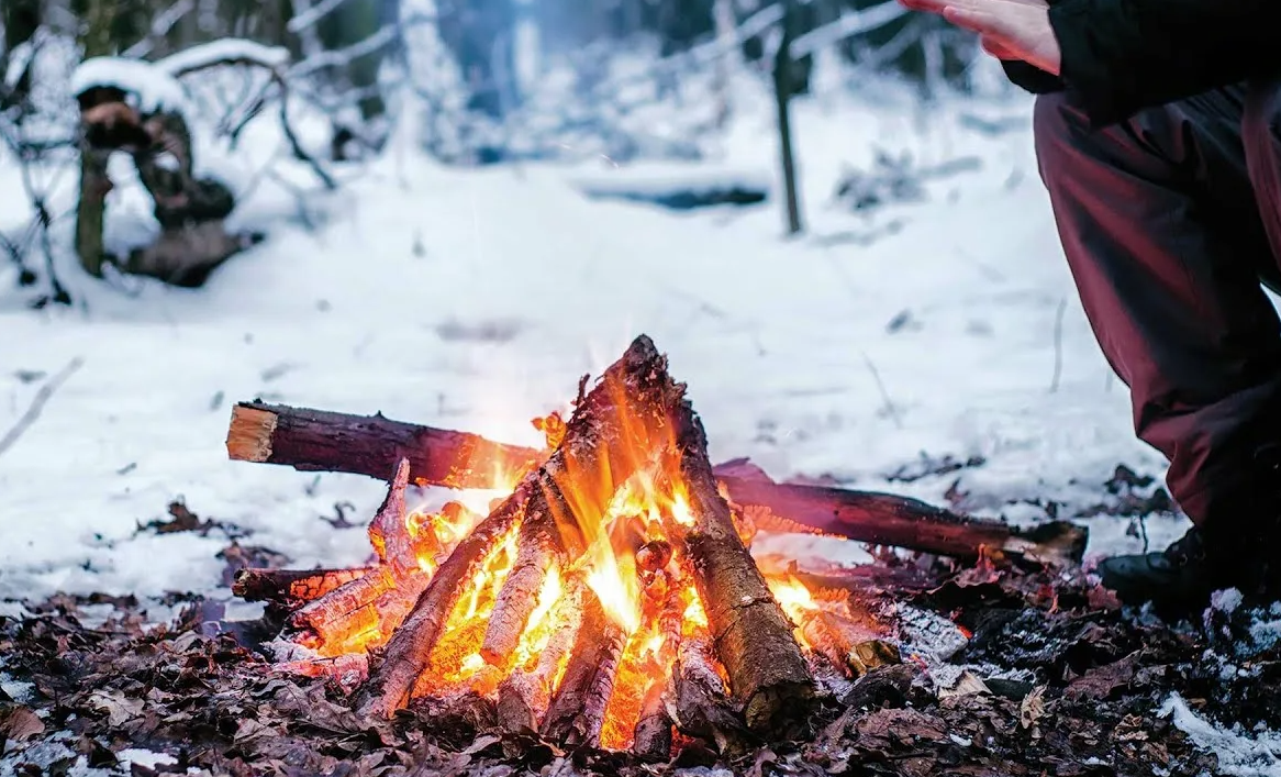 Яндекс картинки