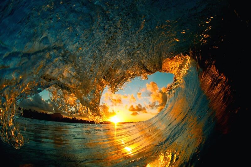 Фото из сети интернет. В открытом доступе.