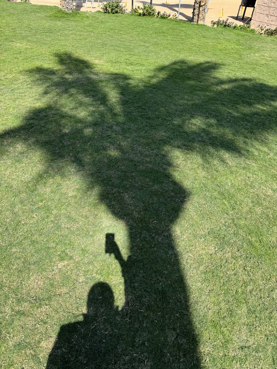 Фотки из нашего ноябрьского отпуска