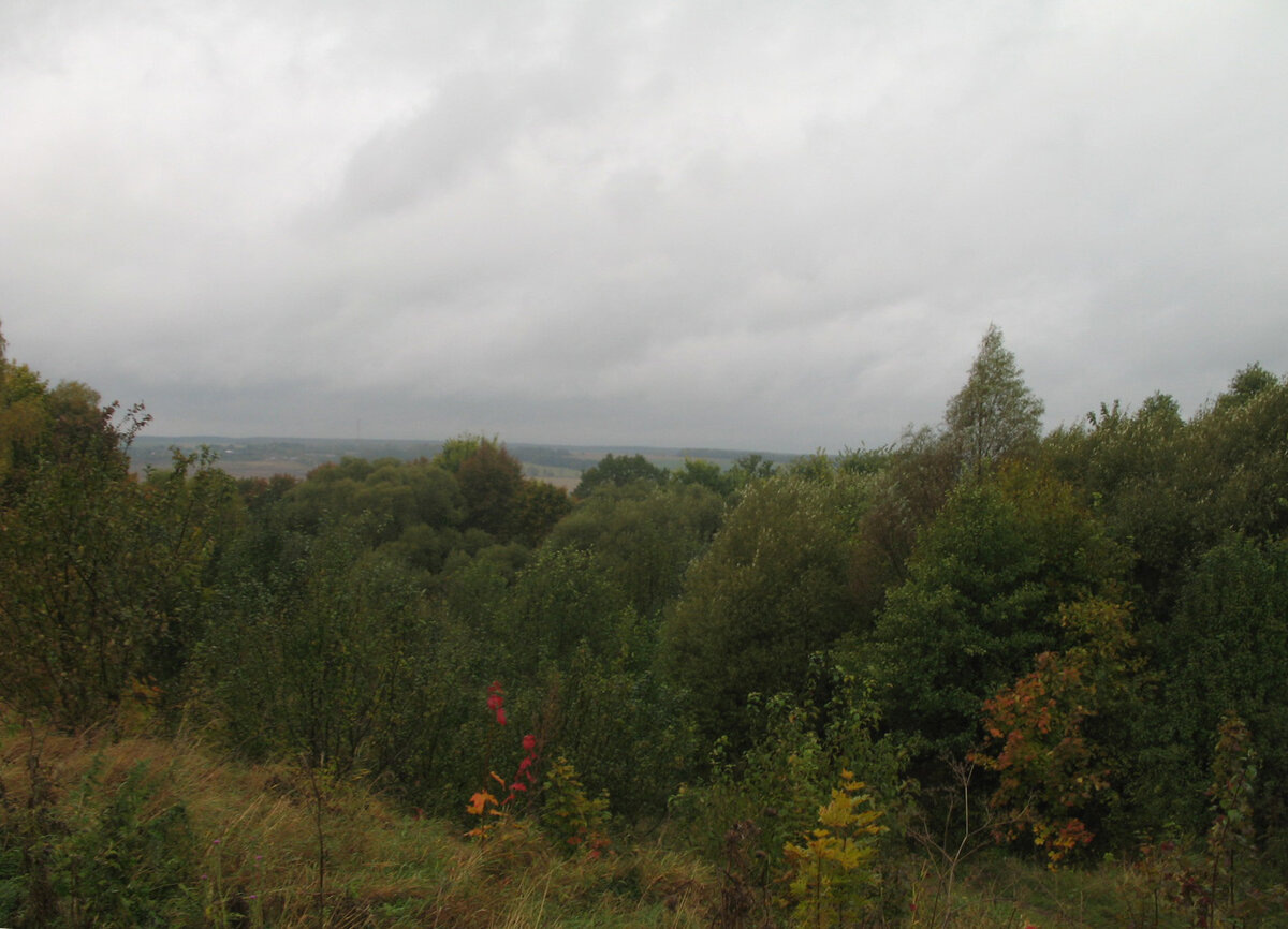 Родные просторы. Хмурая погода во втором квартале