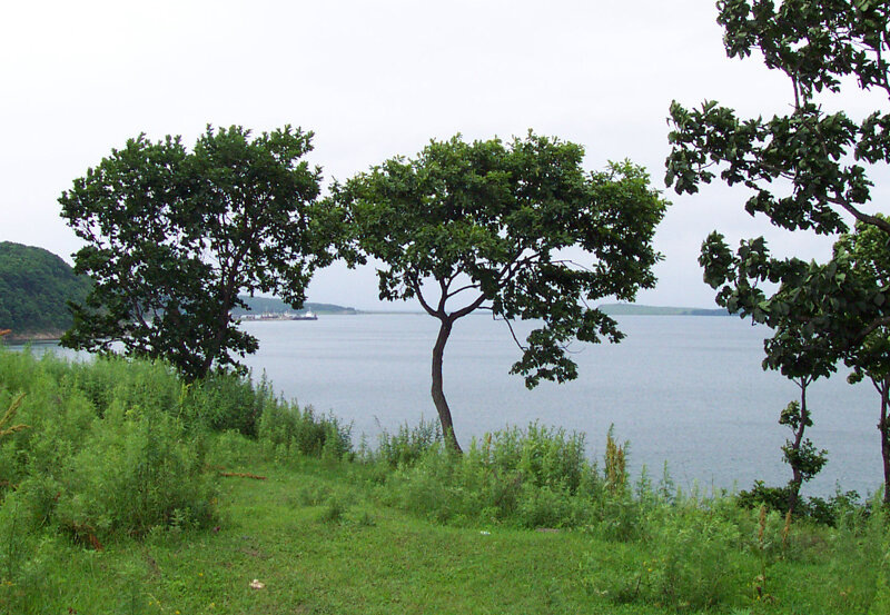 Приморский край. Вид на Уссурийский залив