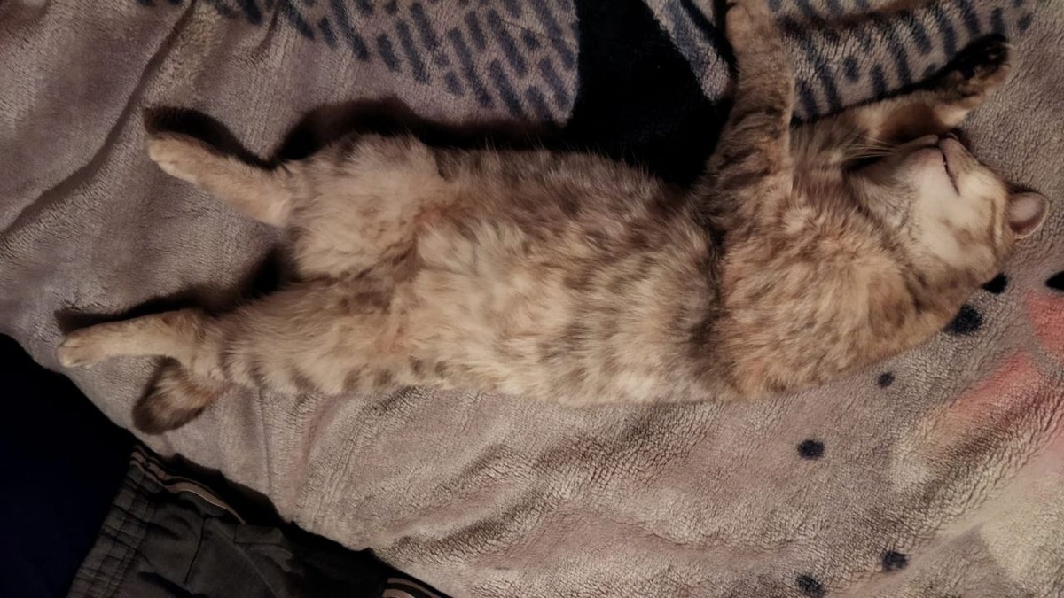 Истинная Соня!