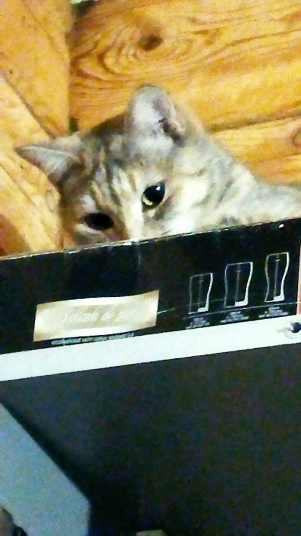 Сонечка дома