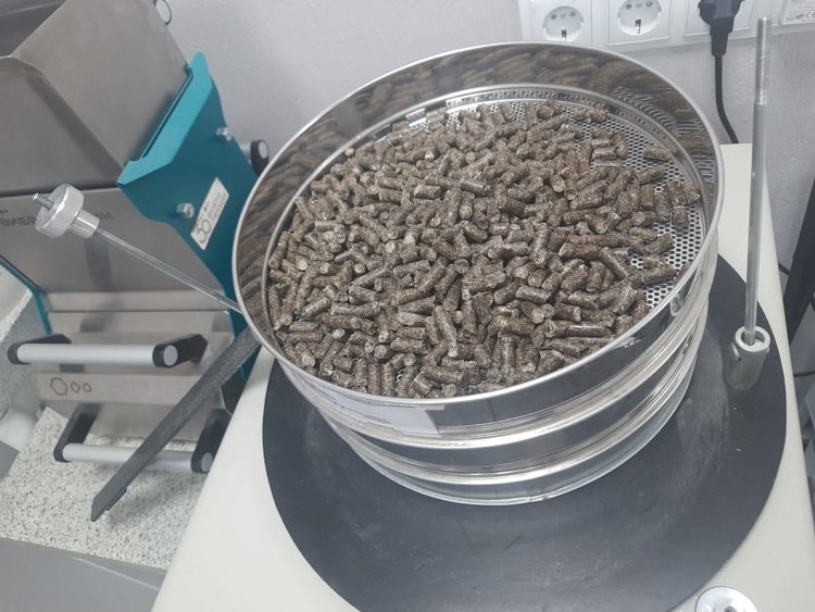    Германия сделала крупную закупку подсолнечного шрота в Башкортостане