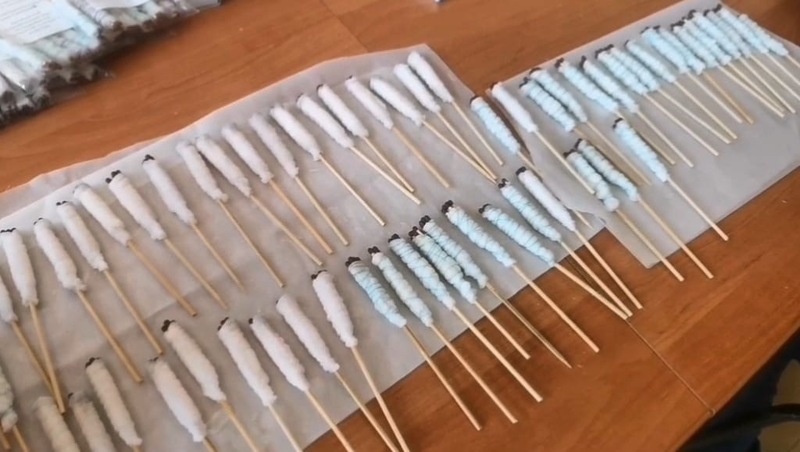      Фото: администрация Кочубеевского округа