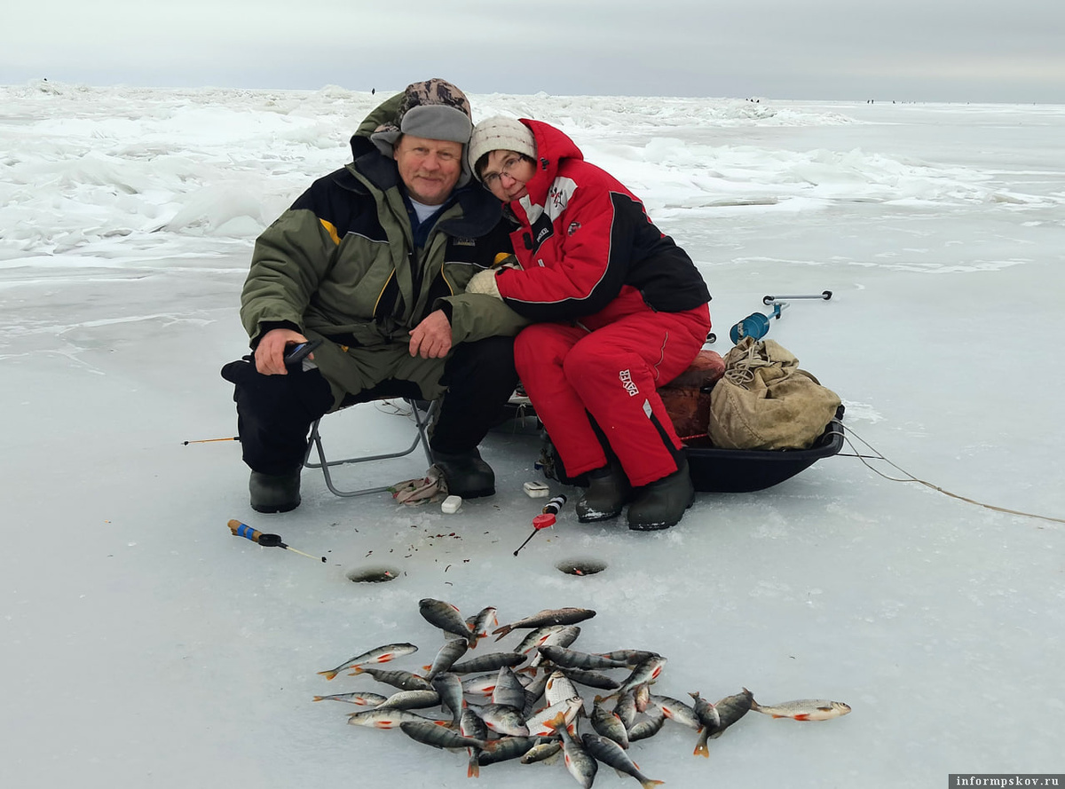 23 января 2025 года. Чудское озеро у деревни Ветвеник. Здесь и далее все фото из архива автора