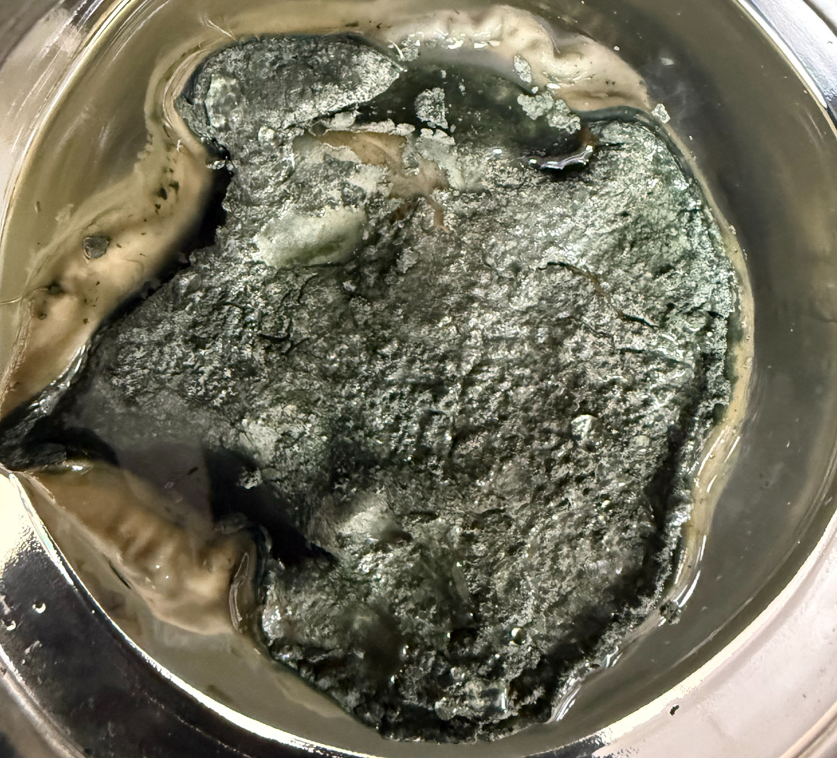 Триходерма