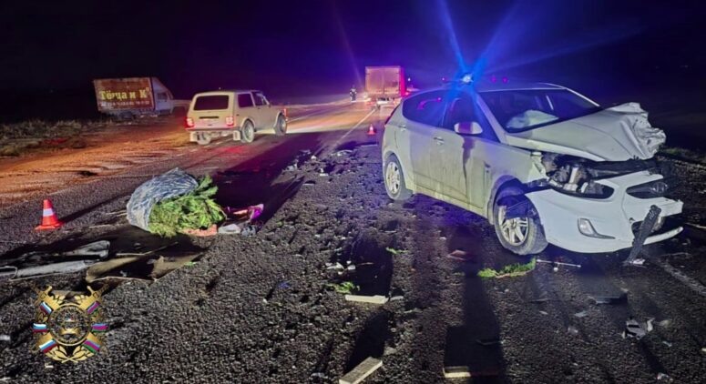    Фото: t.me/gibdd123region