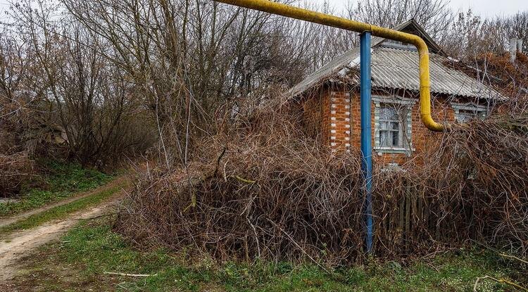 Фото: Павел Колядин