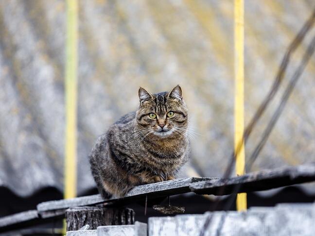 Фото: Павел Колядин