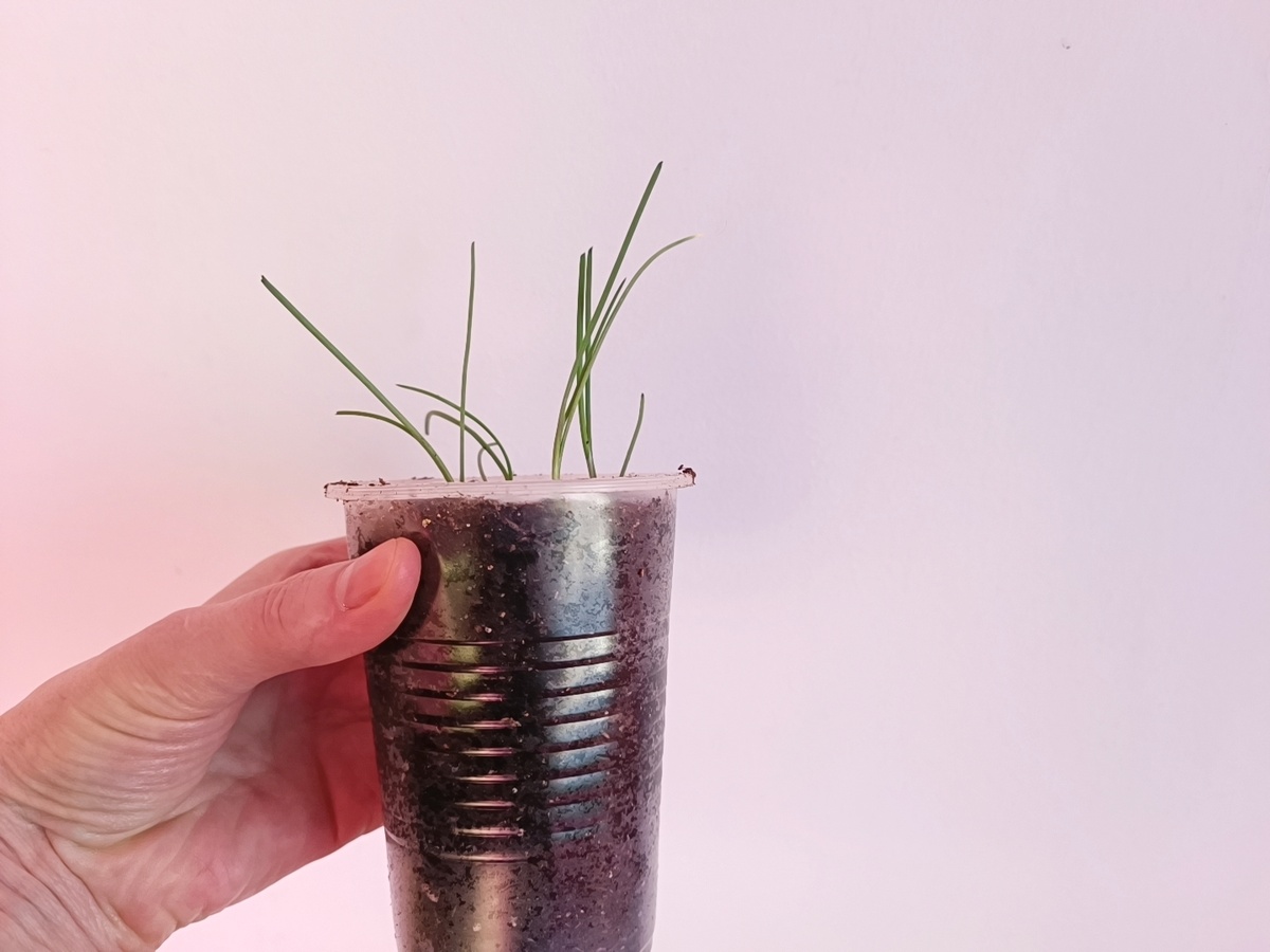 стрижка необходима