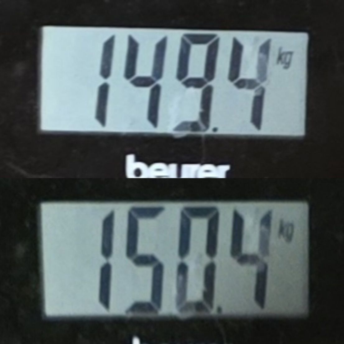 отвес за 1 день