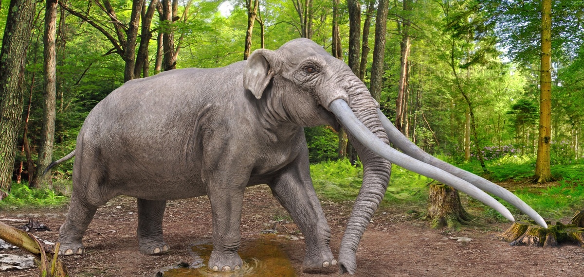 Южноамериканский слон. Реконструкция Владислава Егорова