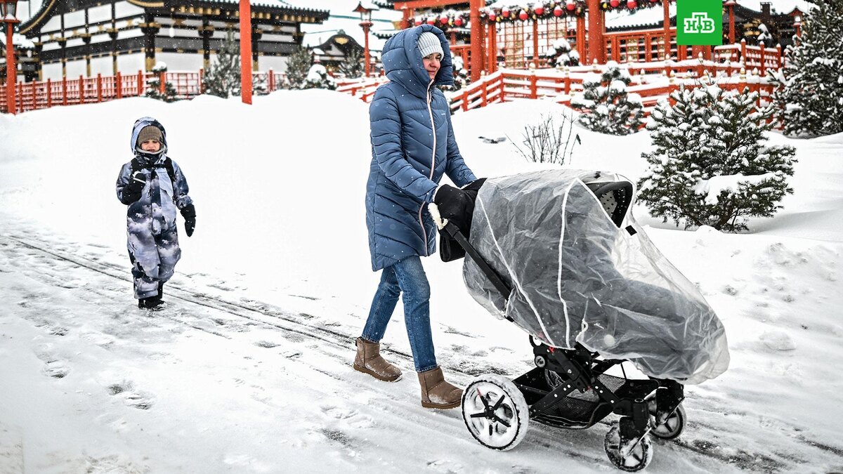    Фото: РИА Новости © 2025, Владимир Астапкович