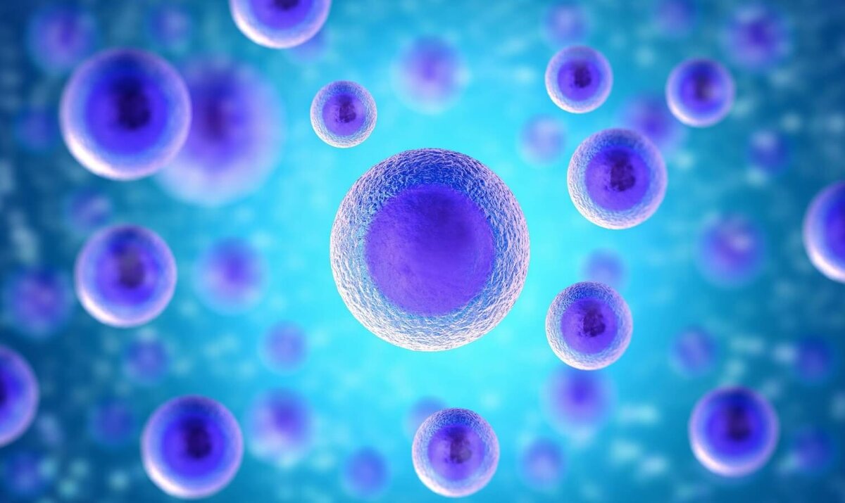    В организме человека более 200 типов клеток, включая нервные, мышечные, кровяные и кожные. Источник изображения: yokogawa.com