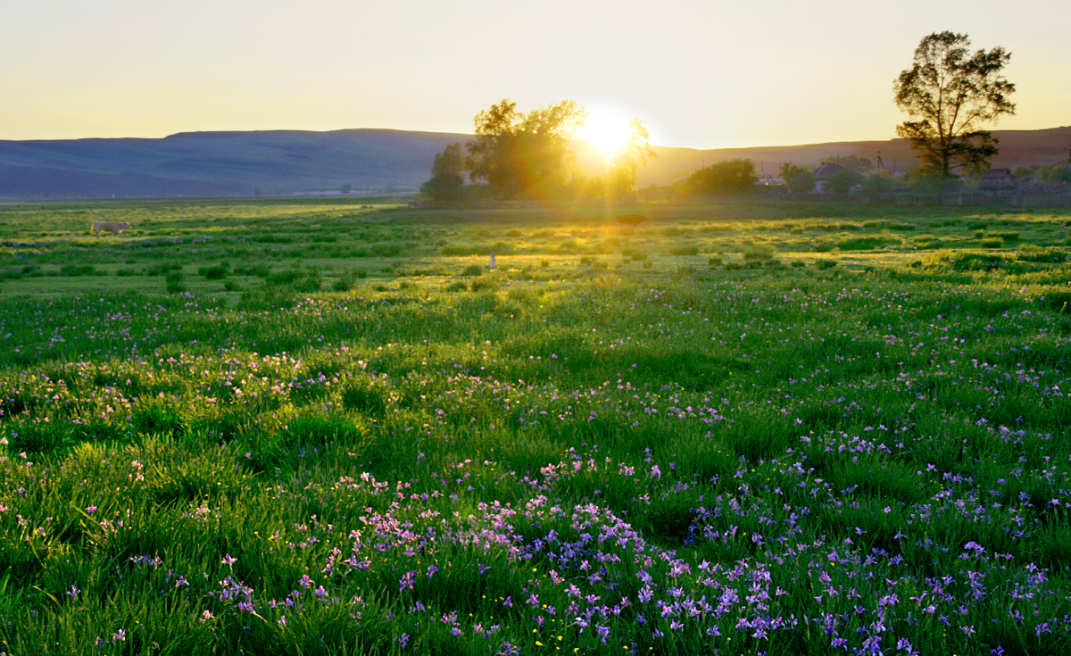 Фотография, стихотворение Василия Глуцкого