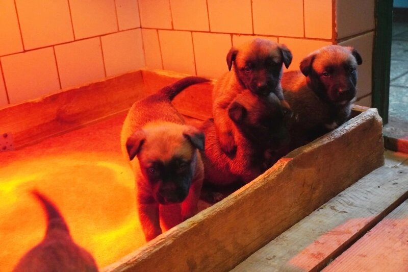    Фото: УФСИН по Ульяновской области