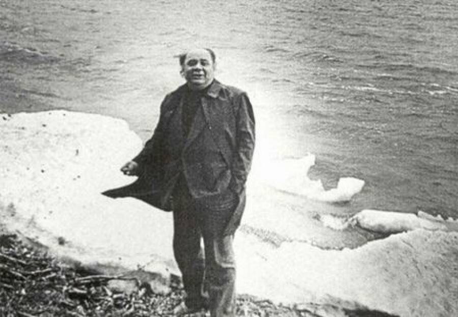 Фото в открытом доступе