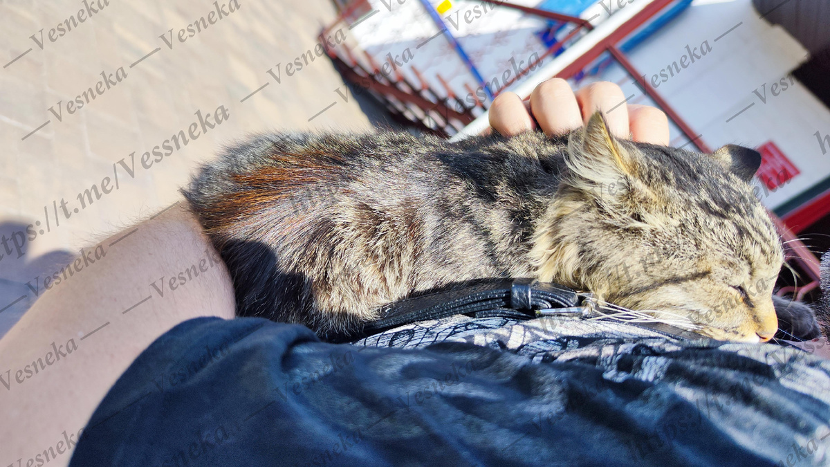 Фото автора