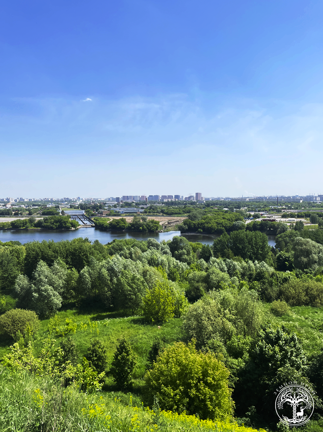 Вид с вершины Дьяковского холма.