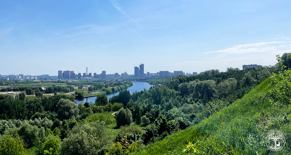 Вид с вершины Дьяковского холма.