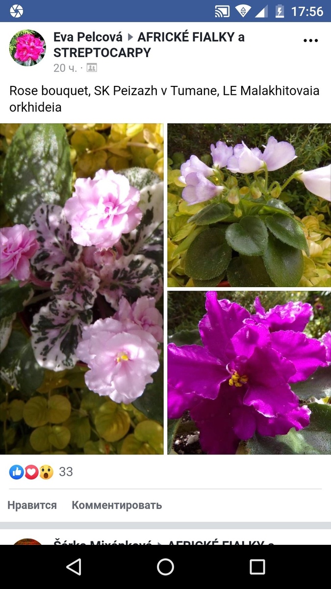 Как видите, не только наши коллекционеры грешат неправильным написанием. Хотя... иероглифы понять - выше моих сил! Но, думаю, что и кириллица для многих иностранцев сродни китайским иероглифам и арабской вязи