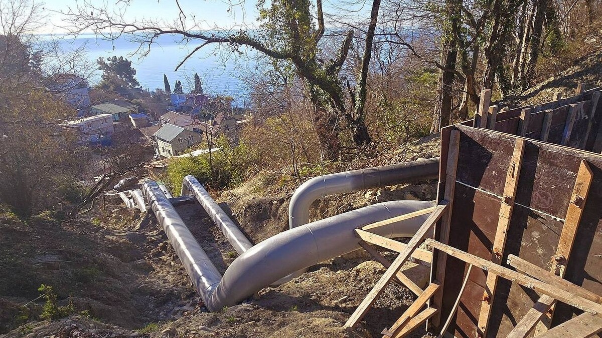    Фото: t.me/agproshunin