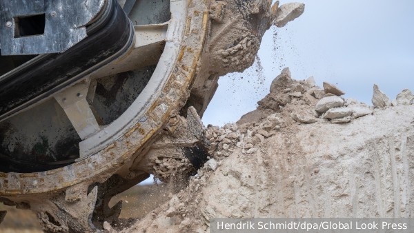     Фото: Hendrik Schmidt/dpa/Global Look Press   
 Текст: Александра Юдина