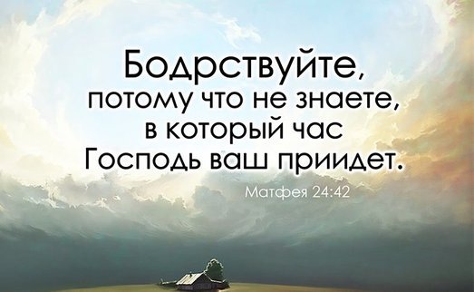 фото из открытого источника Яндекс. Картинки.