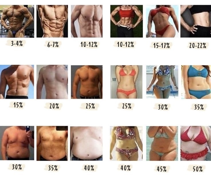 - Мужчины: 20% жира и выше.  - Женщины: 30% жира и выше