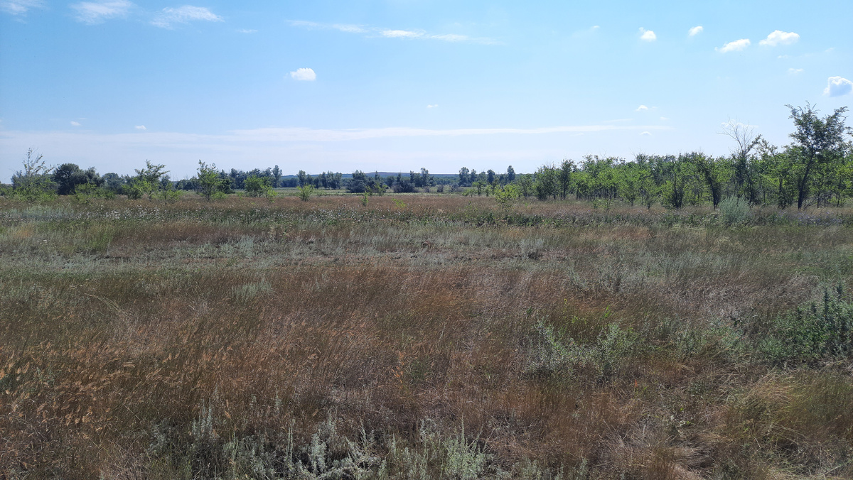 Уехал подальше от города, поближе к природе