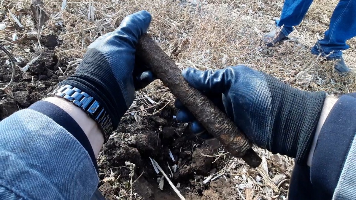 Примерно так я делал вид, что старательно очищаю находку от земли