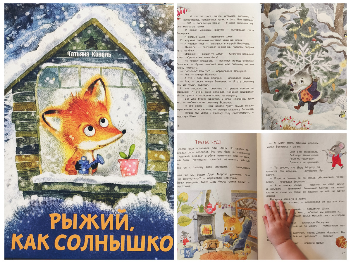 "Рыжий, как солнышко" Т. Коваль, изд. "Стрекоза"